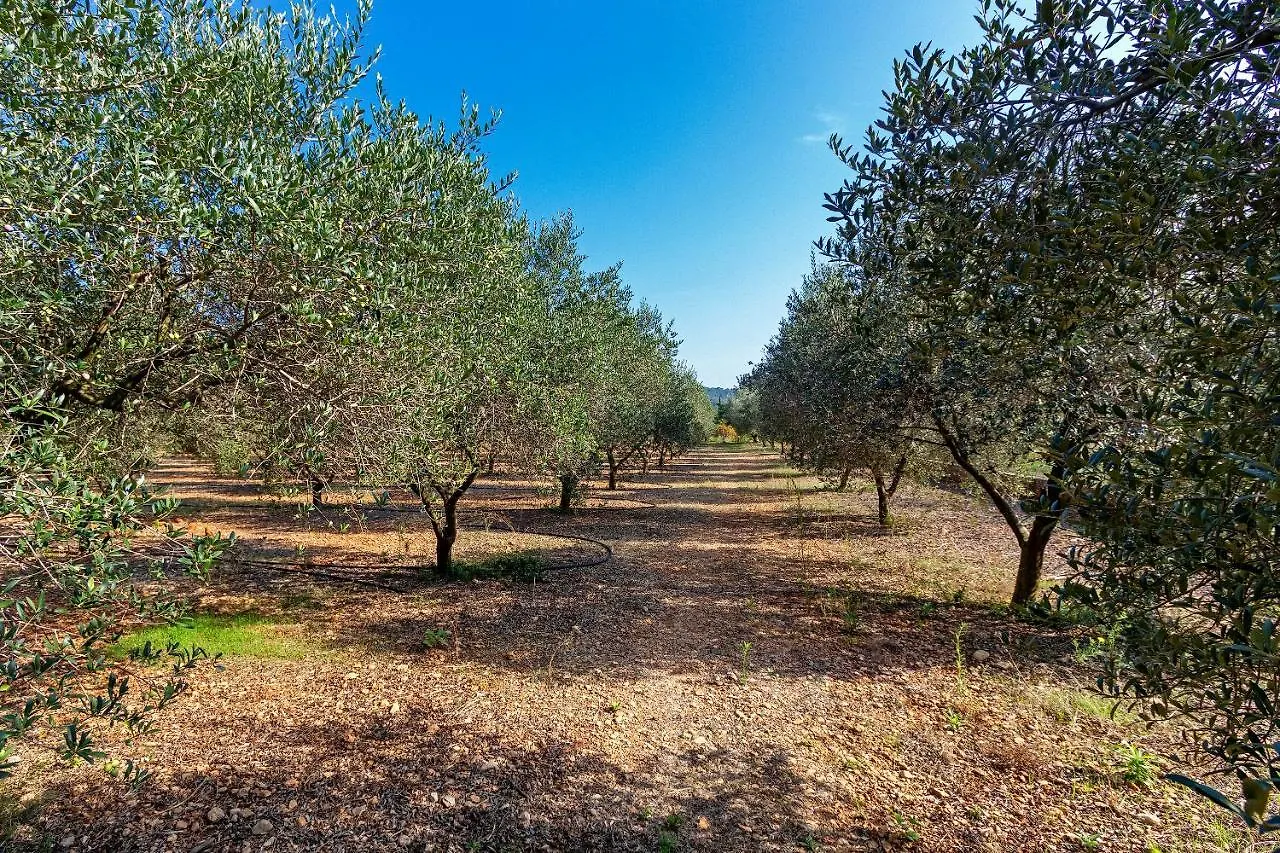 Vakantiehuis Country House With Amazing Pool In A Beautiful Rural Setting Campanet